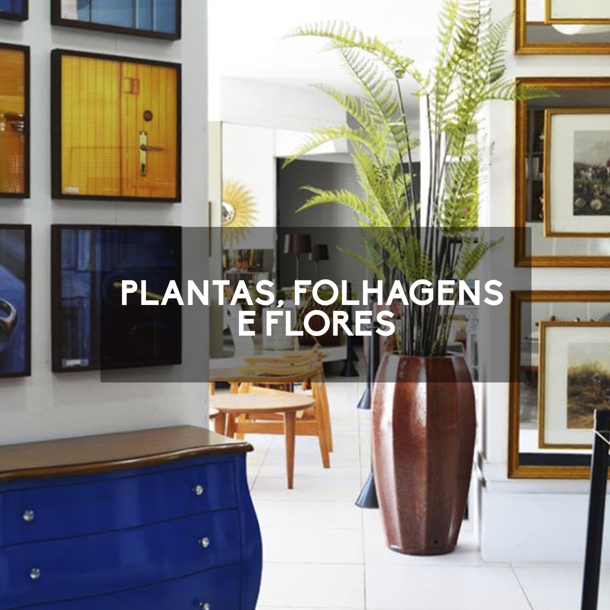 Plantas / Folhagens / Flores